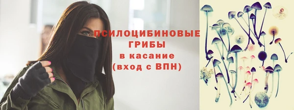 сатива Бабаево
