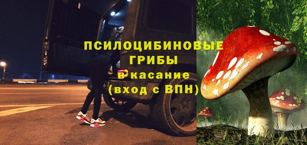 гашик Анжеро-Судженск