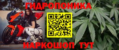 трава Абакан