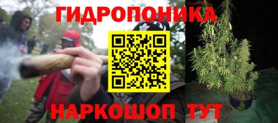 ешки Абинск