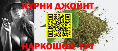 mdma Гатчина