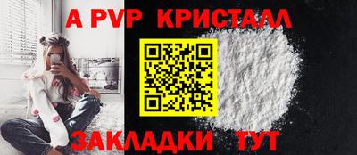 крисы Гай