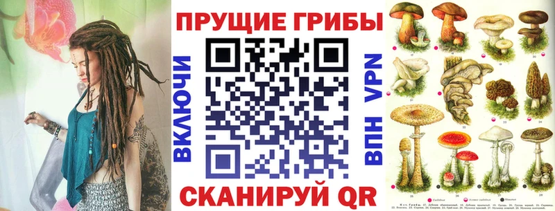Галлюциногенные грибы Cubensis  наркота  Апатиты 