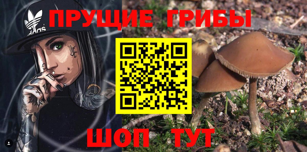 наркота  Вход с VPN  Апатиты  Галлюциногенные грибы MAGIC MUSHROOMS 
