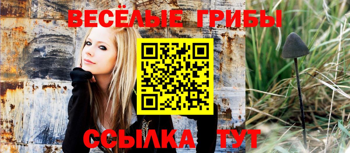 Галлюциногенные грибы мухоморы  Псилоцибиновые грибы прущие грибы  Апатиты 