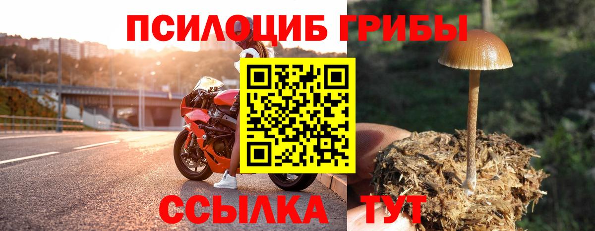 Галлюциногенные грибы мухоморы Апатиты
