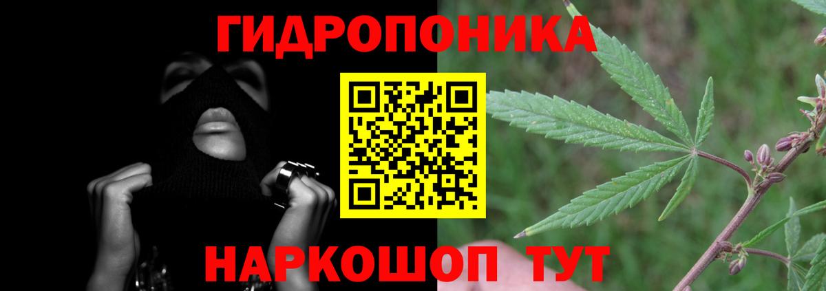 Апатиты  Марихуана сатива  Канабис план  Вход с VPN  Конопля семена 